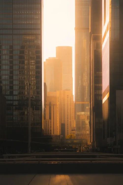 Golden District Partners website project