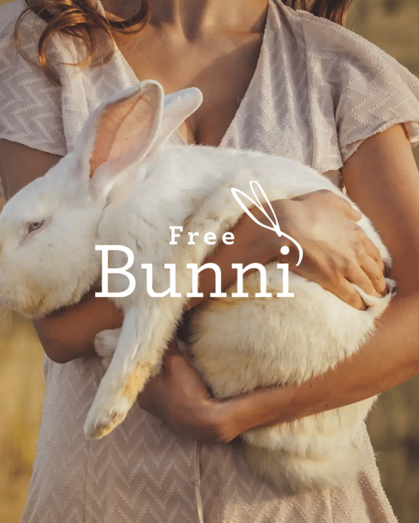 free-bunni-kamburcito